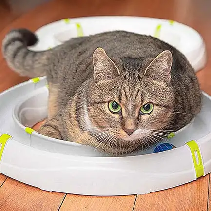 Ferplast TYPHON Іграшка-трек для котів, пластик: додаткове фото 4