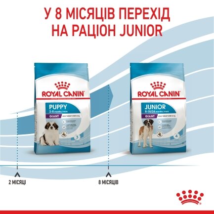 Сухий корм Royal Canin GIANT PUPPY для цуценят гігантських порід 15 кг — Фото 6