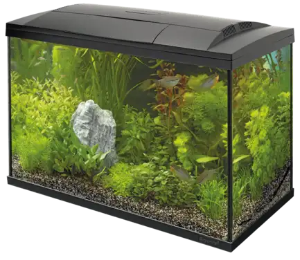 Акваріумний стартовий набір SuperFish Start 150 Aquarium Kit Black (A4050381)