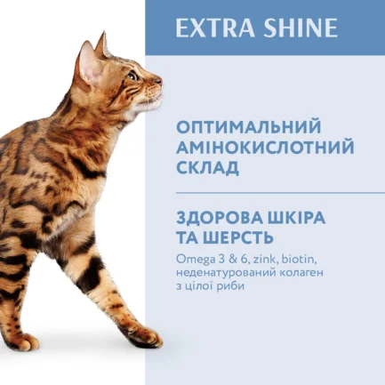 OPTIMEAL™. Повнораціонний сухий корм для дорослих котів з високим вмістом тріски, 4 кг: додаткове фото 3