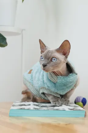 Светр для кота Tim М: додаткове фото 5