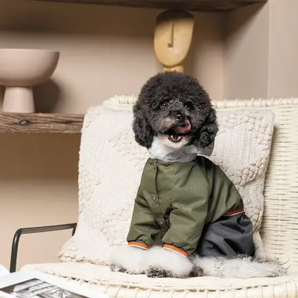 Дощовик Pet Fashion «Jimi» для собак, розмір XS, зелений (лімітована серія): додаткове фото 6