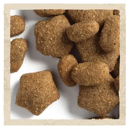 Сухий корм DOG CHOW Sensitive Adult 1+ для дорослих собак схильних до алергії з лососем 14 кг: додаткове фото 9