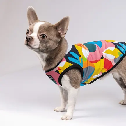 Борцівка Pet Fashion «Cool» для собак, розмір XS2, з принтом: додаткове фото 5