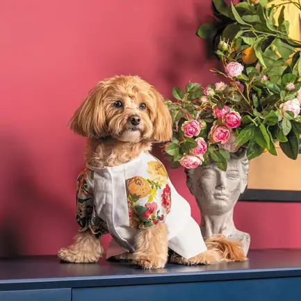 Сорочка Pet Fashion Соломія для собак дівчинка біла XS2: додаткове фото 4