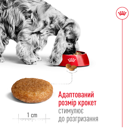 Сухий корм Royal Canin MEDIUM ADULT для дорослих собак середніх порід 15 кг — Фото 3