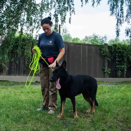 Повідець для Собак Bronzedog Active зі Шнура Тренувальний Салатовий L: додаткове фото 10