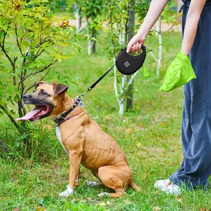 Повідець-рулетка для собак WAUDOG R-leash з контейнером для пакетів, світловідбивна стрічка, L, до 40 кг, 5 м, чорний: додаткове фото 6