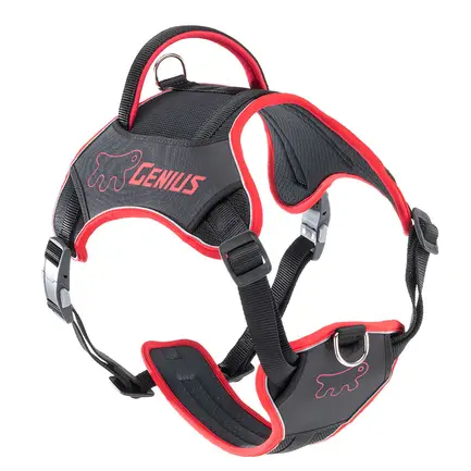 Ferplast GENIUS EX LARGE RED HARNESS нейлонова шлея для тварин червона