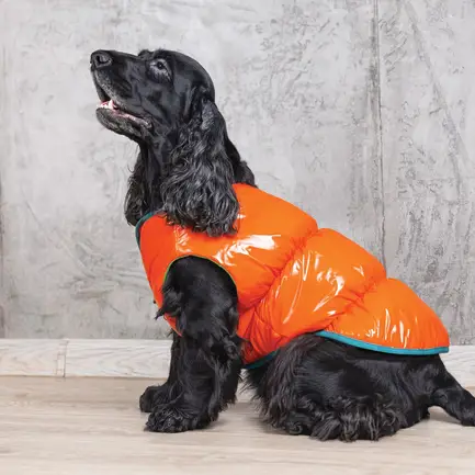 Жилет Pet Fashion «Spring» для собак, розмір XS2, помаранчевий: додаткове фото 6