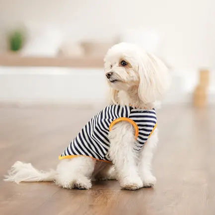 Борцівка Kale ТМ Pet Fashion для собак M смугаста: додаткове фото 4