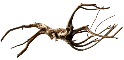 Павутинне дерево BLACK SPIDER WOOD LARGE (A4080390)