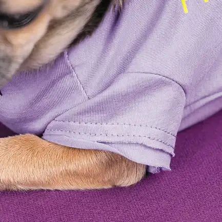 Футболка Pet Fashion «Game» для собак, розмір XS2, бузкова: додаткове фото 5