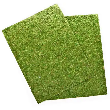 Фон моховий Repti-Zoo Natural Moss Back & Bottom 60x45см 2шт. (NCM6045): додаткове фото 4