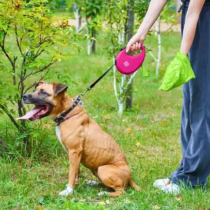 Повідець-рулетка для собак WAUDOG R-leash з контейнером для пакетів, світловідбивна стрічка, L, до 40 кг, 5 м, рожевий: додаткове фото 6