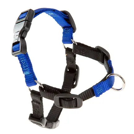 Ferplast COACH P M HARNESS BLUE Шлея для дресирування з фронт сист кріплення