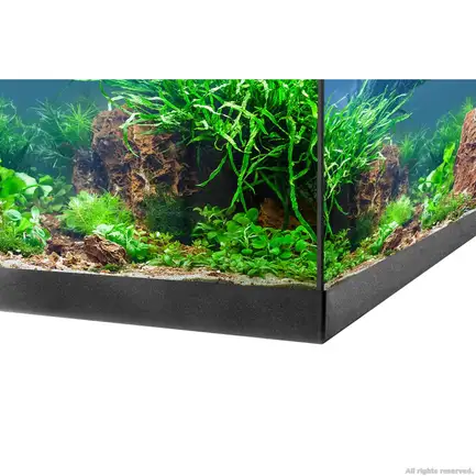Акваріумний комплект Eheim aquastar 54 LED чорний (0340645): додаткове фото 4