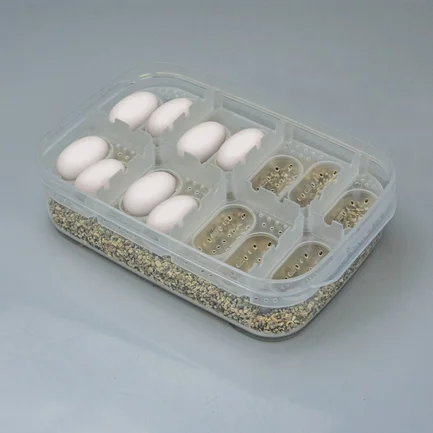 Інкубатор пластиковий на 14 яєць Hobby Easy Breeder Box (36317): додаткове фото 7