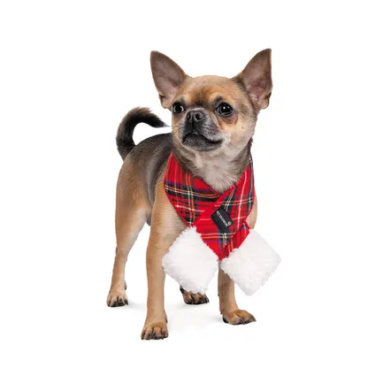 Шарф Pet Fashion «Happy» для собак, розмір XS-S, червоний: додаткове фото 2