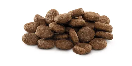 Сухий корм Brit Premium Dog Junior L для цуценят та юніорів великих порід, з куркою, 15 кг: додаткове фото 2