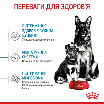 Сухий корм Royal Canin MAXI STARTER для дорослих собак великих порід 4 кг: додаткове фото 4