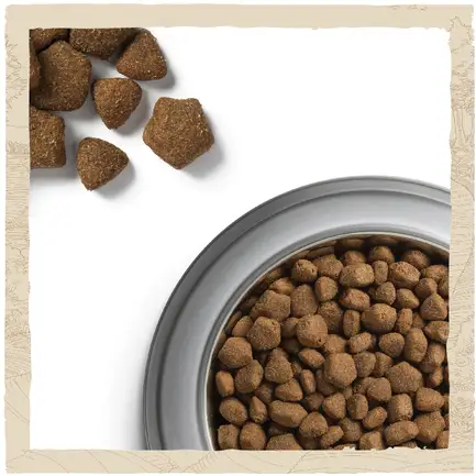 Сухий корм DOG CHOW Adult 1+ для дорослих собак з ягням 2,5 кг: додаткове фото 10