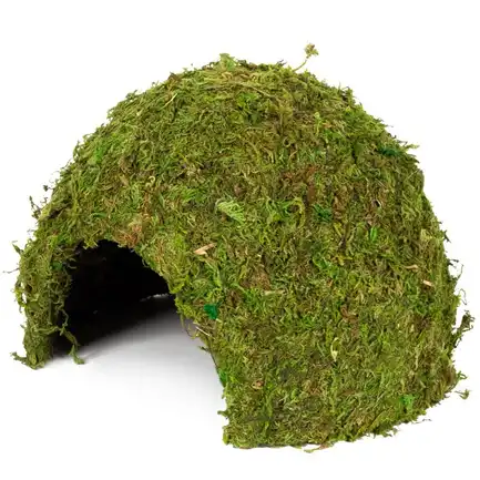 Схованка з моху Repti-Zoo Natural Mossy Dome L 22x17 (ERS25L): додаткове фото 2