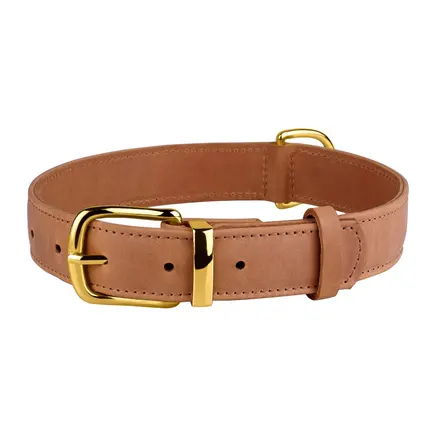 Нашийник для собак шкіряний BronzeDog Crazy коричневий XS: додаткове фото 2