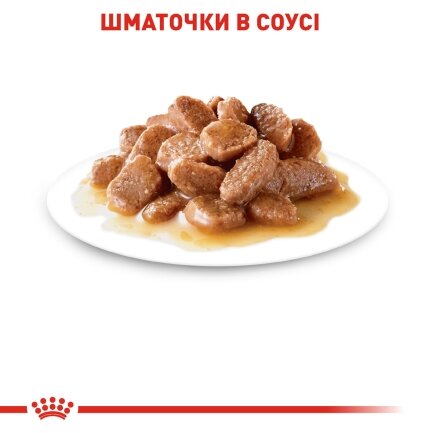 Вологий корм Royal Canin AGEING+12 для котів всіх порід 85 г — Фото 3