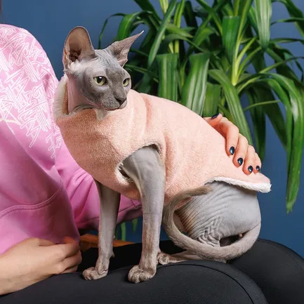 Светр Pet Fashion «Cat» для кота, розмір L, персик: додаткове фото 3
