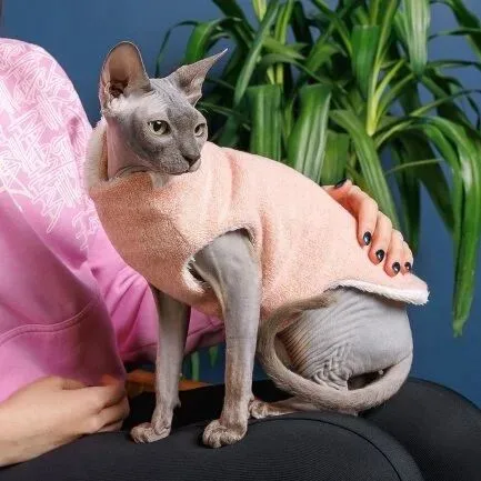 Светр Pet Fashion «Cat» для кота, розмір S, персик: додаткове фото 2