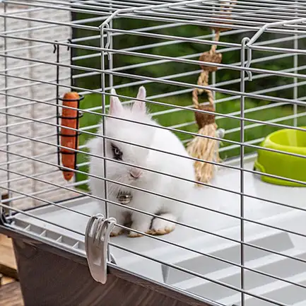 Ferplast CAGE RABBIT 100 (*1) Клітка для кролів: додаткове фото 7