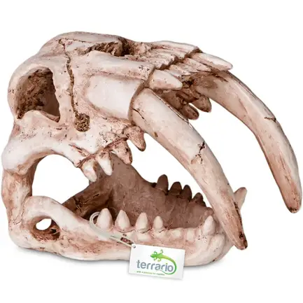 Декорація череп тигра Terrario Sabertooth Skull 13x8,5x11см (15911): додаткове фото 8