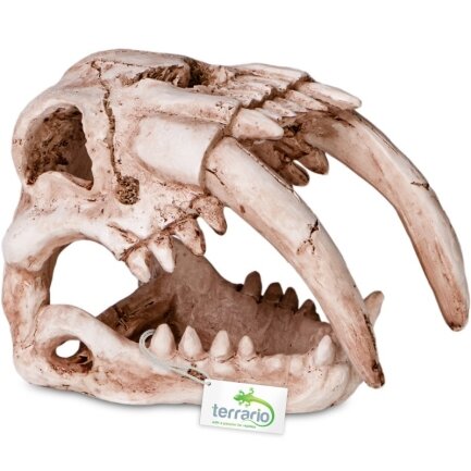 Декорація череп тигра Terrario Sabertooth Skull 13x8,5x11см (15911) — Фото 7