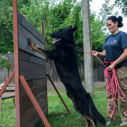 Повідець для Собак Bronzedog Active зі Шнура Тренувальний Рожевий L: додаткове фото 9