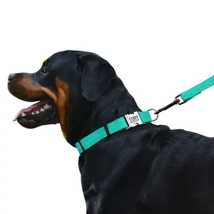 Нашийник для Собак BronzeDog Active Нейлоновий зі Світловідбиттям та Металевою Пряжкою Ментоловий L: додаткове фото 3