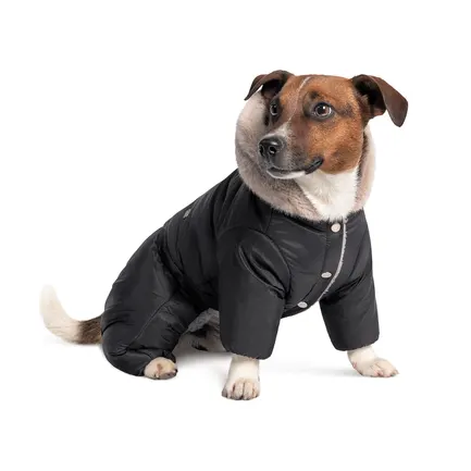 Костюм Pet Fashion «Black» для собак, розмір M, чорний: додаткове фото 2