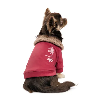 Кардиган Pet Fashion Garcia для собак розмір M: додаткове фото 3