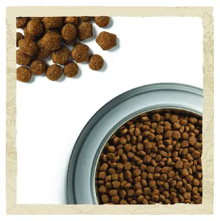 Сухий корм DOG CHOW Large Breed Puppy <2 для цуценят з індичкою 14 кг: додаткове фото 10