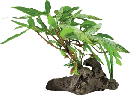 REPTO PLANT ON DECO THREE TIP LEAF (R5100425) Штучна рослина для тераріума