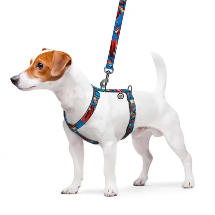 Шлея для собак анатомічна H-подібна WAUDOG Nylon з QR-паспортом, малюнок "Сила Супермена", пластиковий фастекс, L, Ш 25 мм, А 51-85 см, В 60-85 см: додаткове фото 4