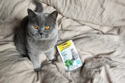 Вітамінізовані ласощі для котів GimCat Cat-Mintips з котячою м'ятою, 40 г: додаткове фото 2
