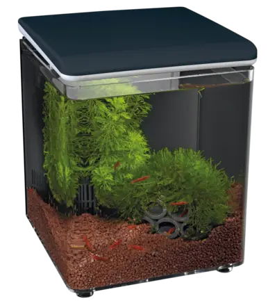 Акваріум акриловий - Superfish Home 8 BLACK (A4051255)
