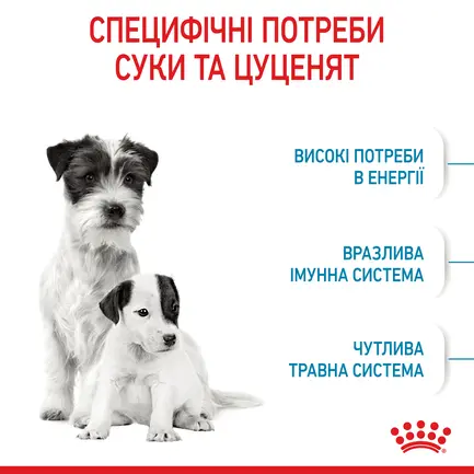 Сухий корм Royal Canin MINI STARTER для дорослих собак малих порід 8 кг: додаткове фото 4