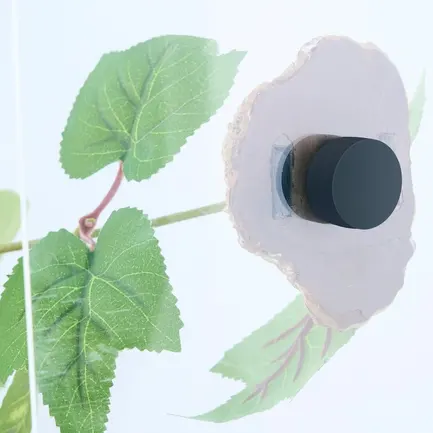 Штучна рослина Repti‑Zoo Magnetic Plant 63 см (TP084) – магнітний штучний плющ для тераріумів: додаткове фото 2
