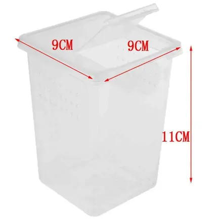 Тераріум, фаунаріум Terrario Insect Box High 9x9x11см: додаткове фото 4