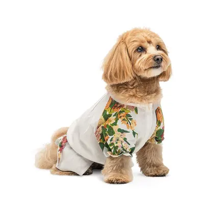 Сорочка Pet Fashion Соломія для собак дівчинка біла XS2: додаткове фото 3
