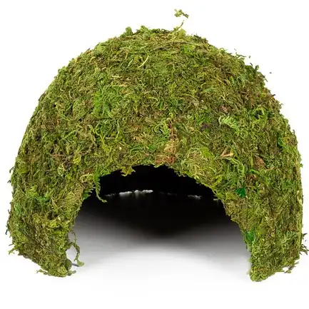 Схованка з моху Repti-Zoo Natural Mossy Dome L 22x17 (ERS25L): додаткове фото 3
