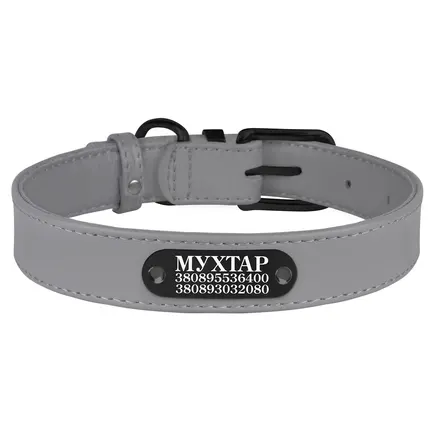 Нашийник для Собак Шкіряний BronzeDog Premium з Металевою Фурнітурою Сірий 2XL: додаткове фото 3