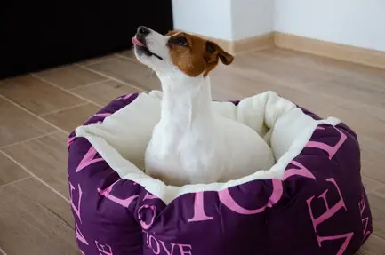 Лежак Luсky Pet "Арчі" №3 фиолетовый, 55x65